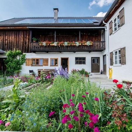 Ferienwohnung Lacherhof 斯豪森·安·施塔费尔 外观 照片