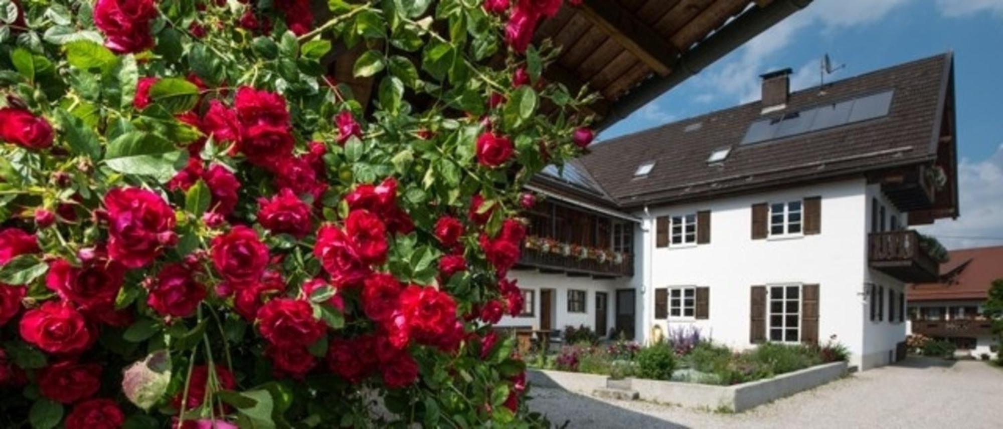 Ferienwohnung Lacherhof 斯豪森·安·施塔费尔 外观 照片
